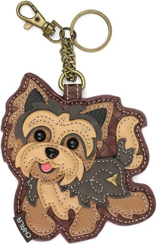 Chala yorkshire terrier - yorkshire, a