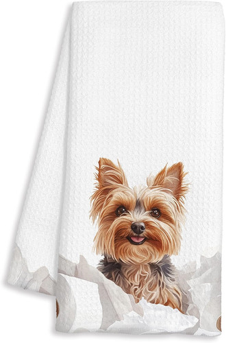 Funny yorkshire terrier - funny,