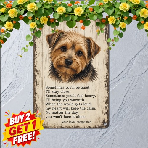 Yorkshire terrier yorkie - yorkie, dog