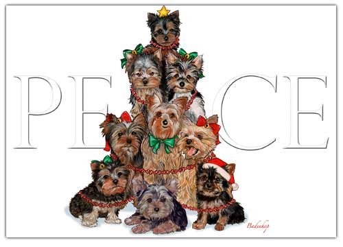 Yorkshire terrier christmas - terrier,