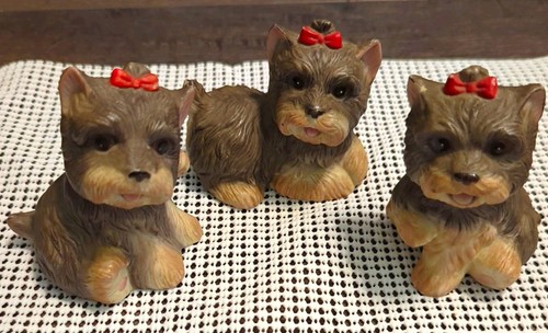 Set yorkshire terrier - 3,