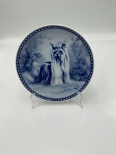 Yorkie original hunde - hunde, plate