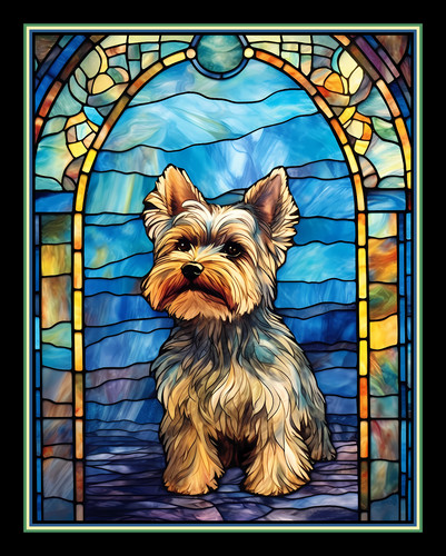 Yorkshire terrier dog large - yorkshire,