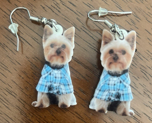 Yorkie yorkshire terrier puppy - yorkie,