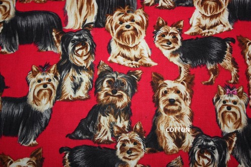 Oop timeless treasures yorkie - timeless,