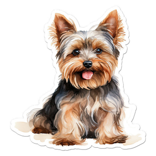 Yorkie yorkshire terrier - yorkshire,