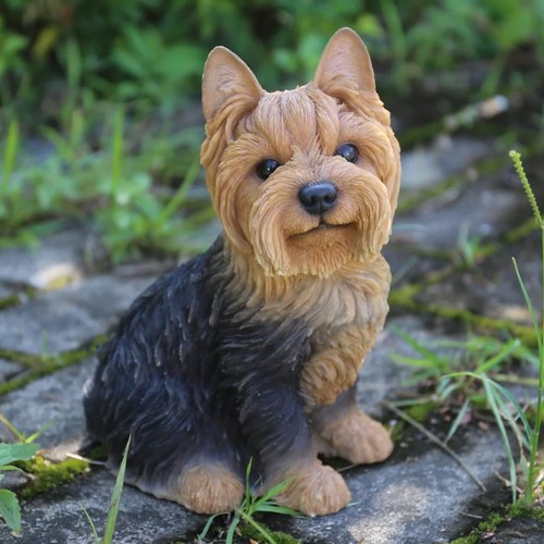 Realistic yorkshire terrier - realistic,