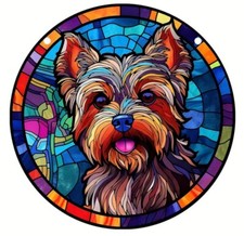 Yorkshire Terrier DOG YORKIE