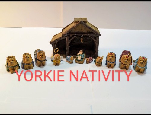 Yorkshire terrier nativity - yorkshire,