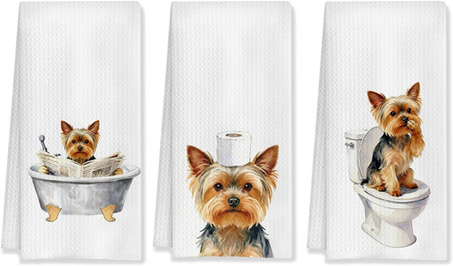 Funny yorkshire terrier - funny,