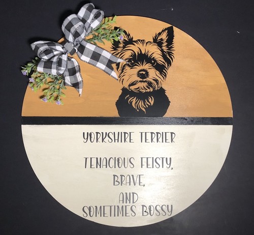 Yorkshire terrier buffalo - terrier,