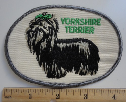 Vintage yorkshire terrier dog - terrier,
