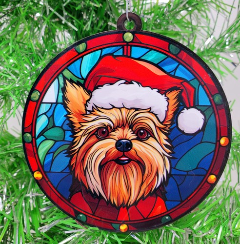 Yorkshire terrier wearing - yorkshire,