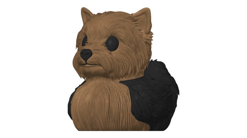 Yorkshire terrier duck - terrier, dog