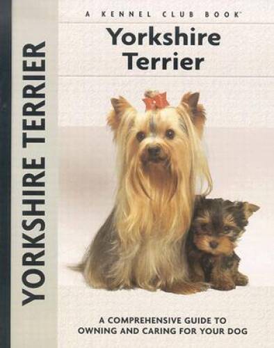 Yorkshire terrier - yorkshire,