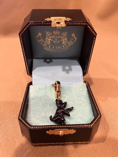 Juicy couture black - yorkie, dog