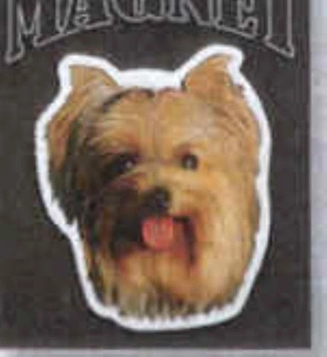 Car magnet yorkshire terrier - car,