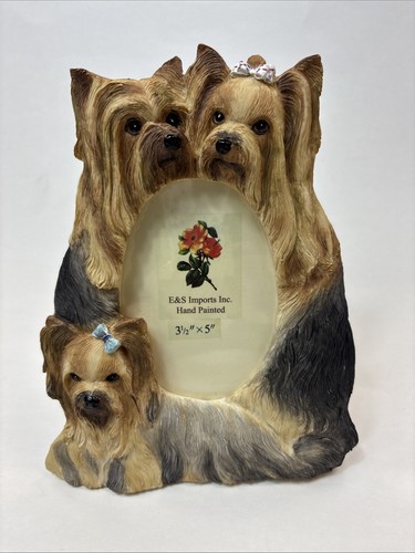 Yorkshire terrier picture - terrier,