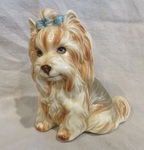 Yorkie yorkshire terrier - yorkshire,