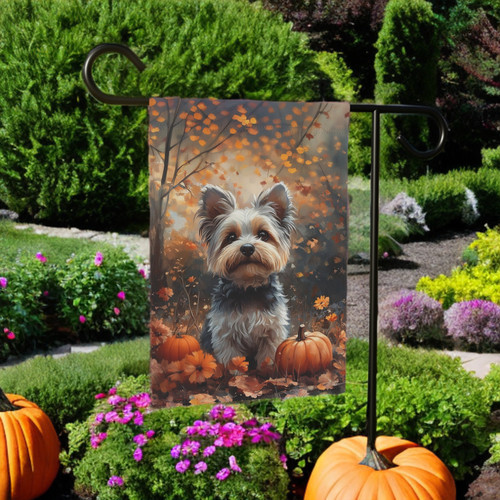 Autumn yorkshire terrier - yorkshire,