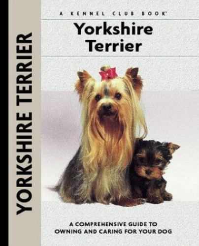 Yorkshire terrier - yorkshire,