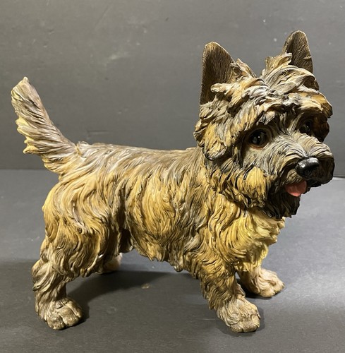 Wanlian yorkshire terrier - yorkshire, dog