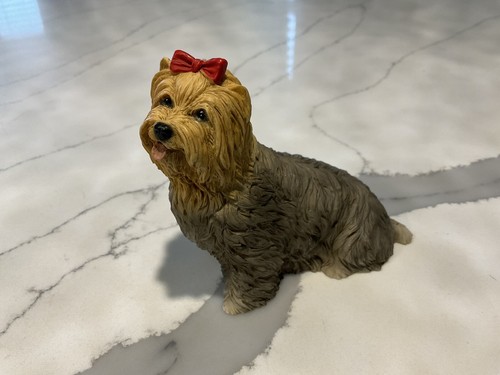Sandicast yorkie yorkshire - yorkie,
