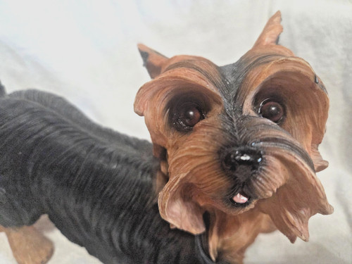 Adorable yorkshire terrier - yorkshire,