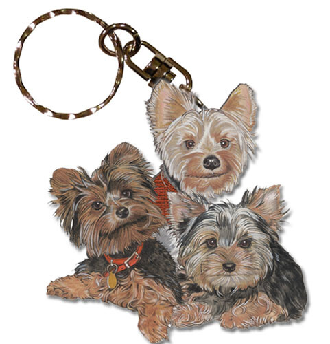 Yorkshire terrier yorkie - yorkshire,