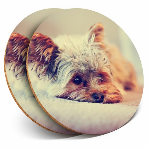 Coasters yorkshire - 2,