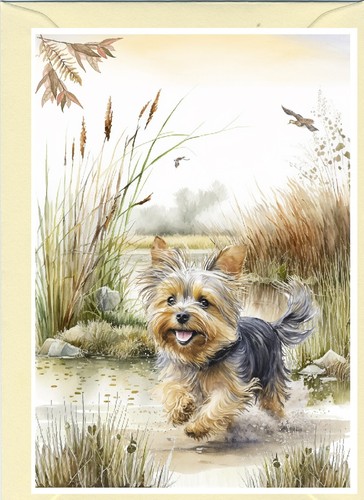 Yorkshire terrier yorkie dog - terrier,