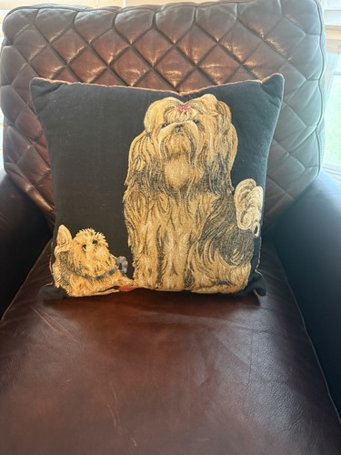 Yorkie silky haired yorkshire - yorkie,