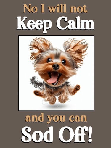 Yorkie yorkshire terrier - yorkie,