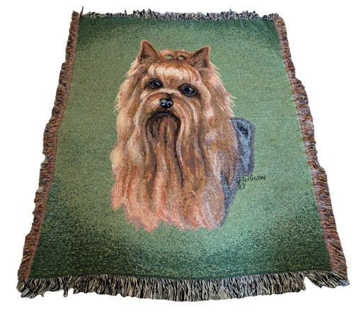 Judy gibson yorkie - yorkie, yorkshire