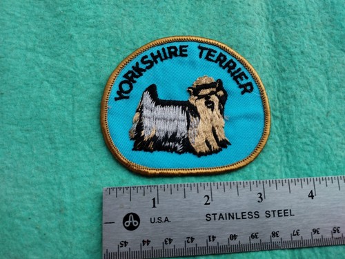 Vintage yorkshire terrier dog - yorkshire,