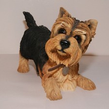 Leonardo Collection Yorkshire