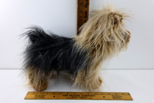Douglas yorkshire terrier - yorkshire,