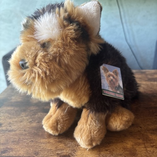 Yorkshire terrier fine arts - ,