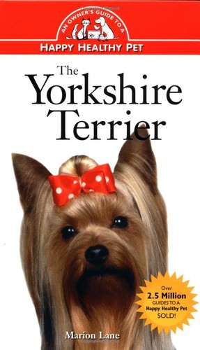The yorkshire terrier - terrier:, an