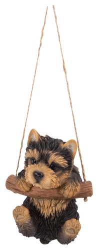 Hanging yorkshire terrier - hanging,