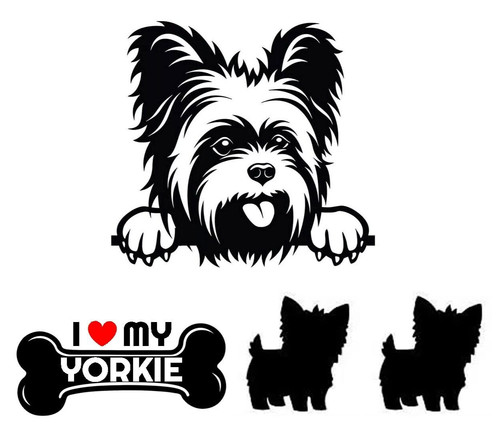 Yorkie yorkshire terrier dog - yorkshire,