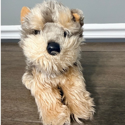 Yorkshire terrier yorkie dog - terrier,