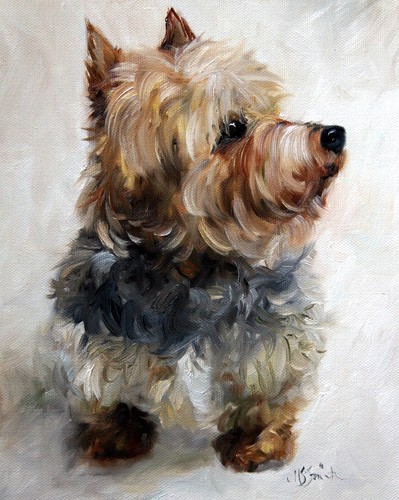 Mary sparrow yorkie - mary,