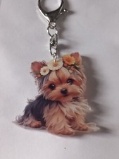 Cute Yorkshire Terrier Yorkie