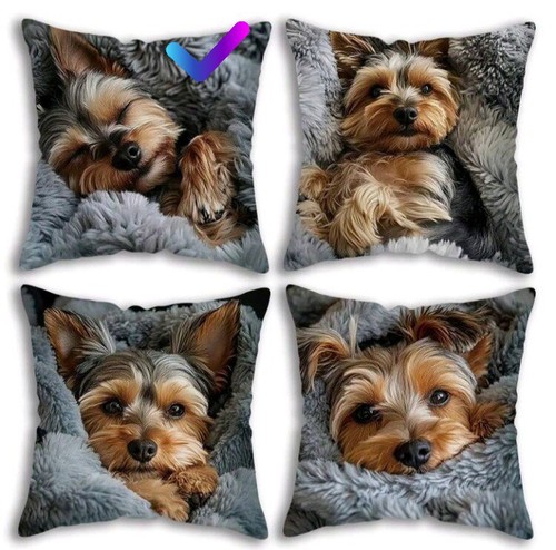 Yorkshire terrier puppy - yorkshire,