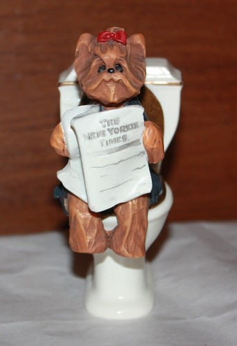 Treasured tails yorkie - treasured,