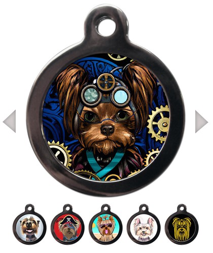 Yorkie dog breed - yorkie,