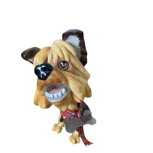 Little paws yorkshire terrier - little,
