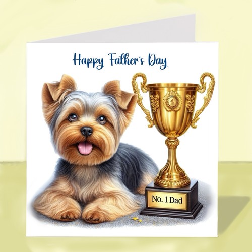 Yorkshire terrier dog - yorkshire,