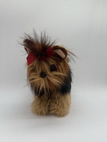 Dog yorkshire terrier chewie - dog,
